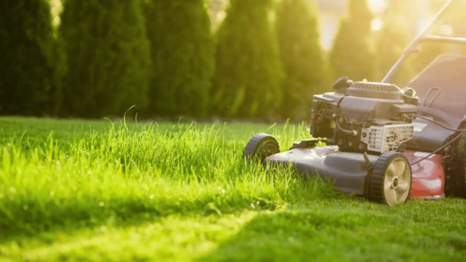 MDA Services — lawn care in Renwick